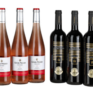 Lote de vino Gran Feudo & Inurrieta nº 83