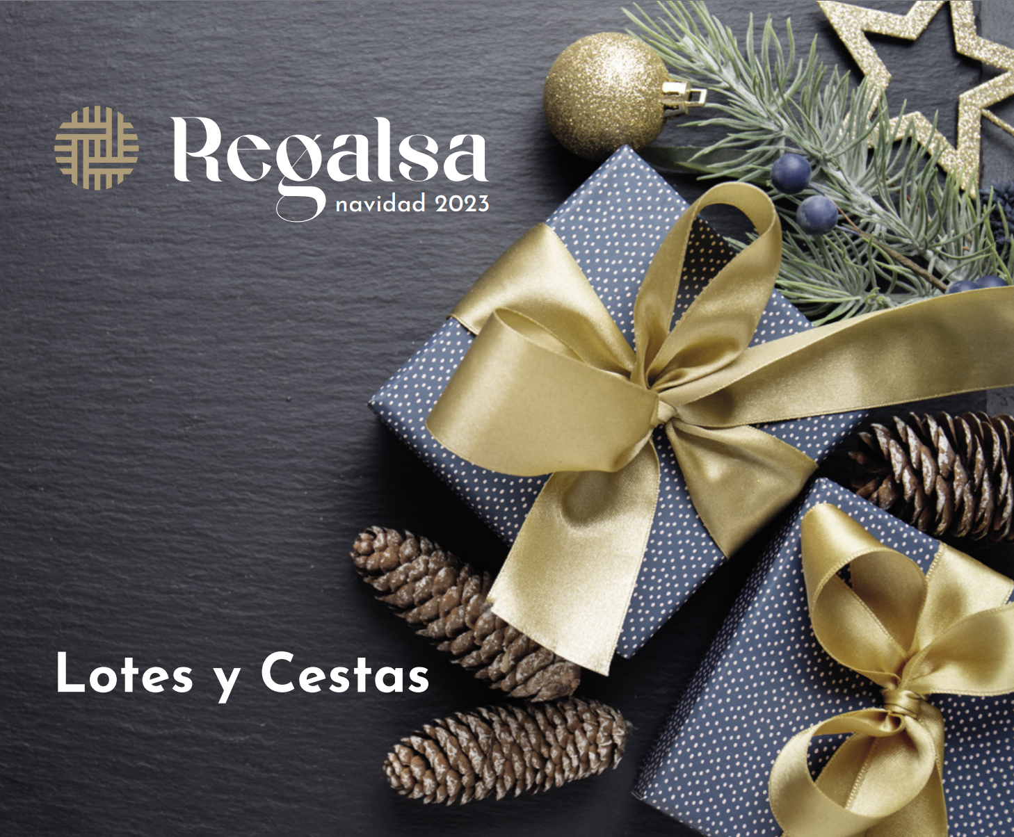 Portada del catálogo de Regalsa 2023